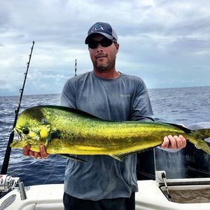 Meet your Posher, Wesley